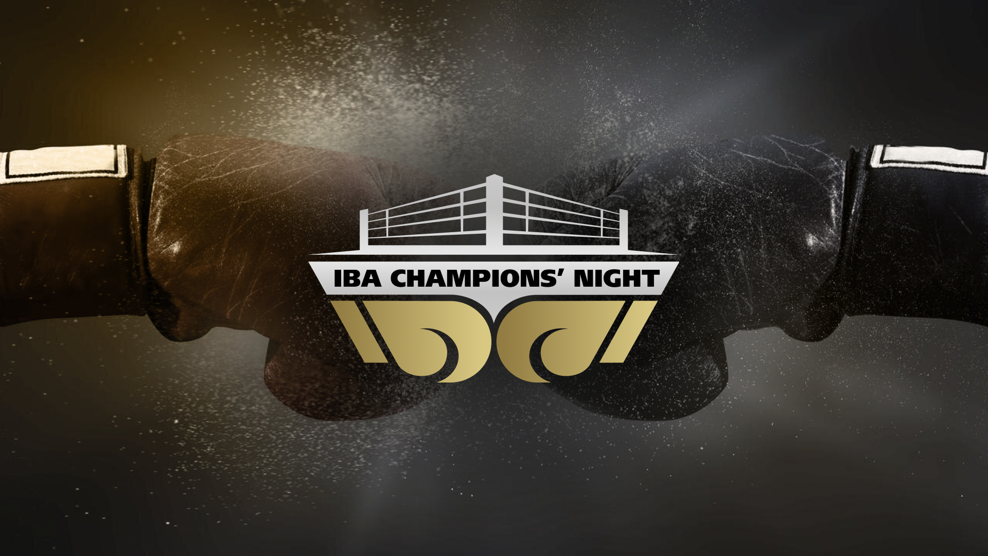 IBA Champions' Night Russia vs USA
